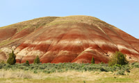 Scrub Hill