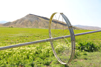 Sprinkler Wheel