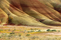 Base of Hills
