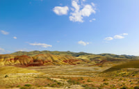Painted Hills Landscape