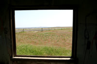 Window View