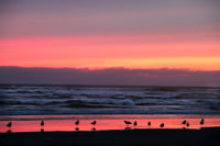 Sunset Sentinels