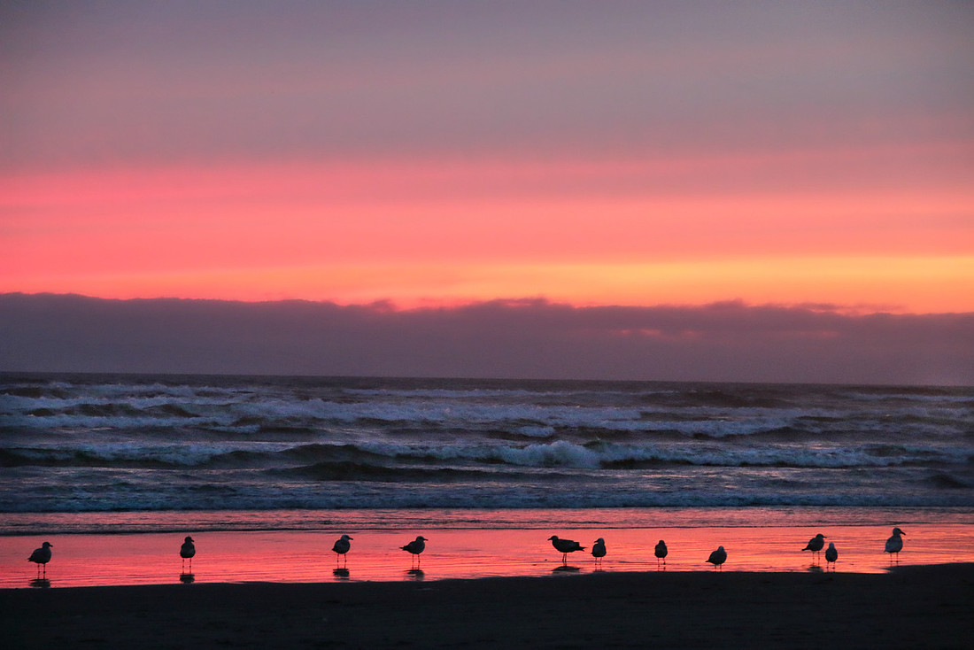 Sunset Sentinels