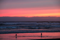 Sunset Romance