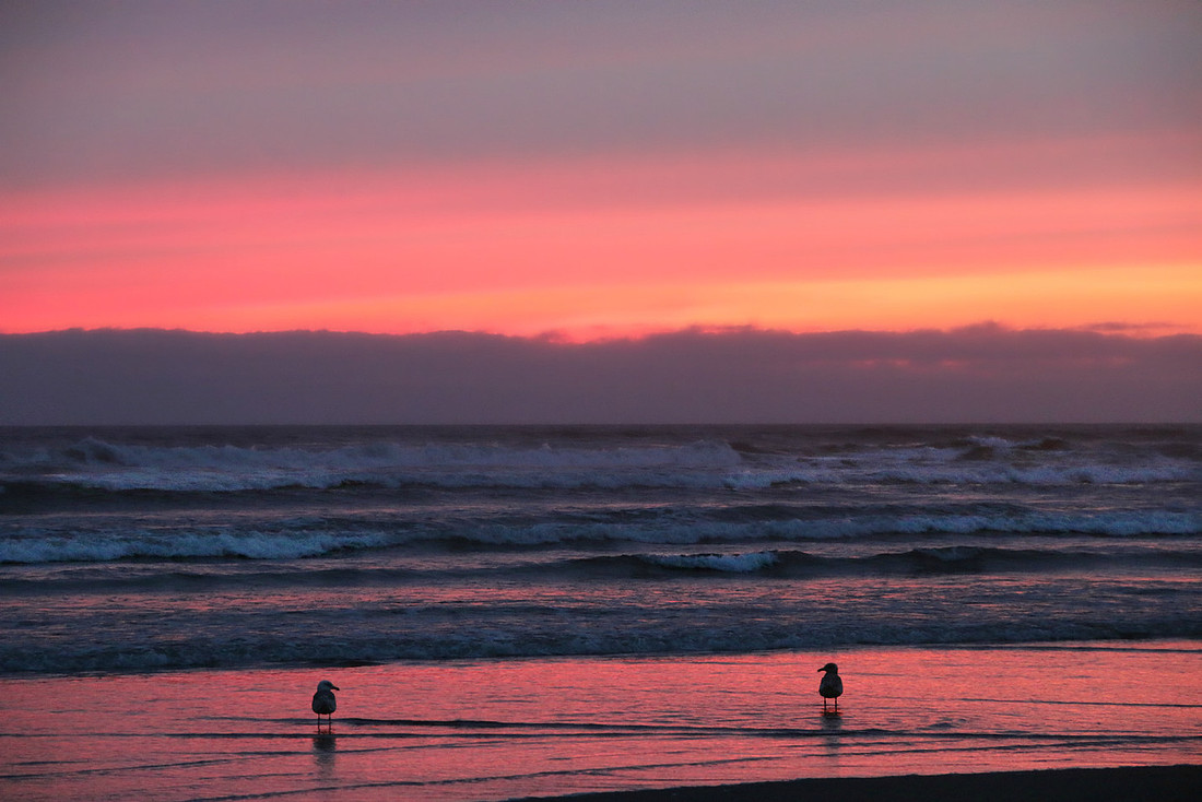 Sunset Romance