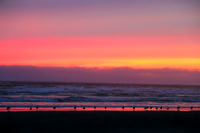 Sunset Watchers