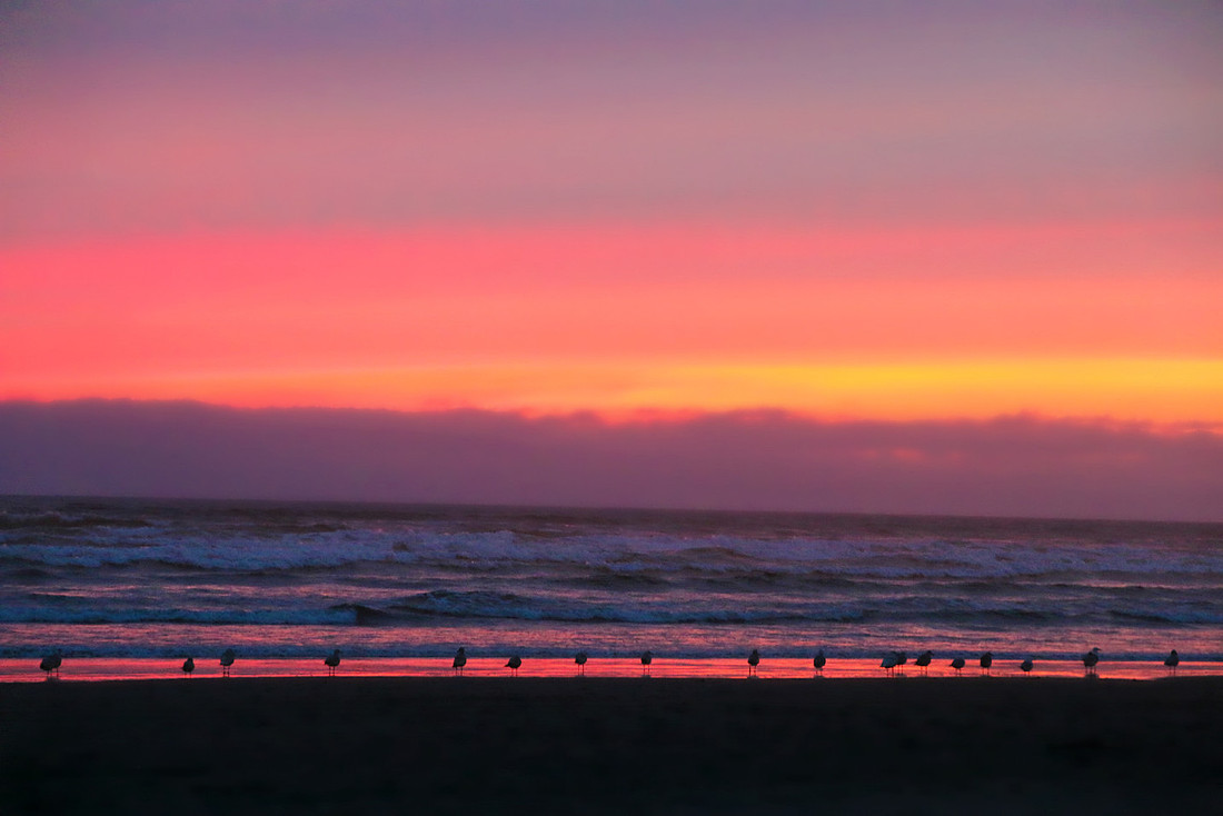 Sunset Watchers