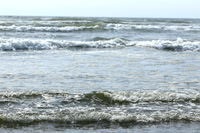 Wave Zen
