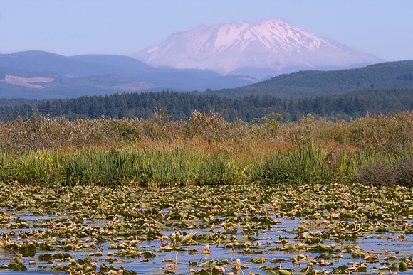 Lake View St Helens