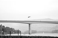 Eagle View