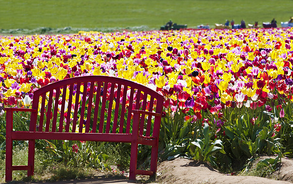 Bench
