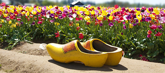 Wooden Shoes