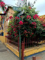 Corner Flower Spot