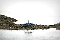 Blue Heron Island Landing