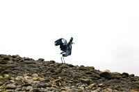 Heron Preflight
