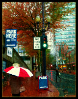 Fall in the City