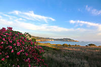 Mendocino California
