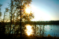 Sunbeam on pond