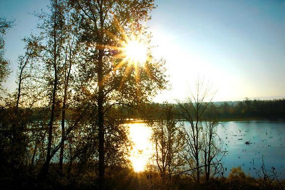 Sunbeam on pond
