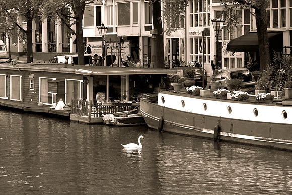 swanboatsepia