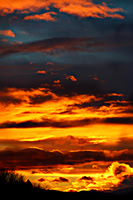 Tall Layered Sunrise