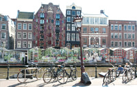 Market View
