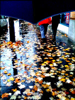 Umbrella World