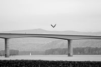 Where Eagles Soar