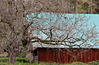 Old Barn