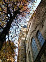 Portland in Fall
