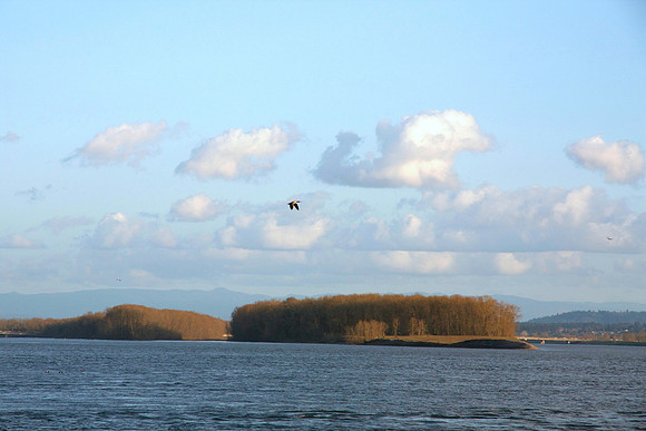 Solitary Flight
