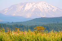 Mt St Helens Silver Lake