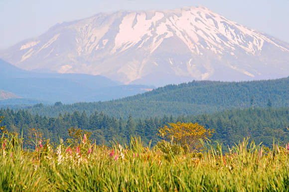 Mt St Helens Silver Lake