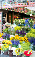 Flower Stall