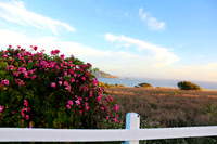 Mendocino