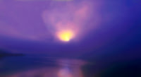 Purple Haze