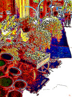 city garden