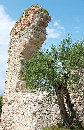 Roman Ruins