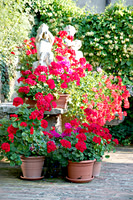 Villa Garden